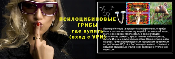 прущий лед Бронницы