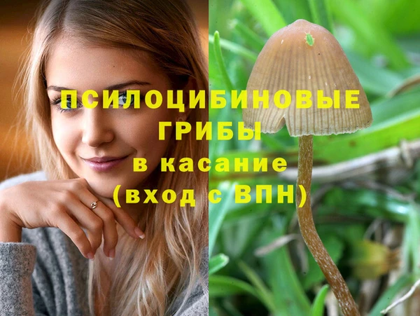 гашик Михайловск