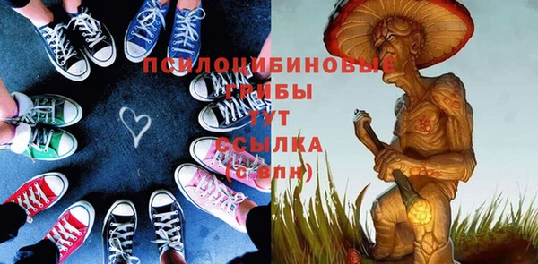 ГАЛЛЮЦИНОГЕННЫЕ ГРИБЫ Бугульма