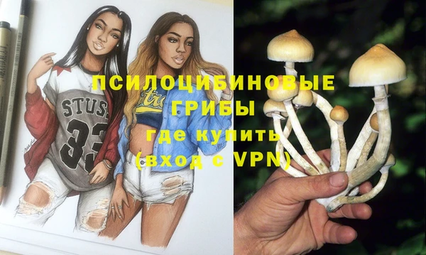 прущий лед Бронницы