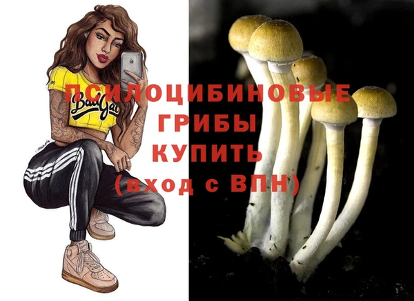 прущий лед Бронницы