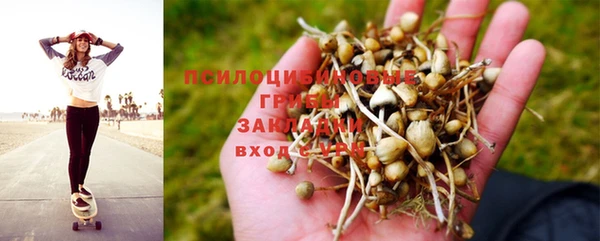 ГАЛЛЮЦИНОГЕННЫЕ ГРИБЫ Бугульма