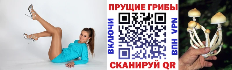 блэк спрут как войти  Горнозаводск  Галлюциногенные грибы мицелий 